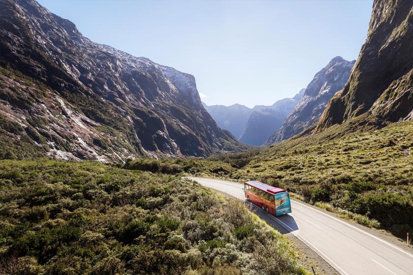 SAVE 20% on Milford Sound Coach & Nature Cruise